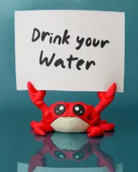 f8c27143-il_fullxfull.6871264824_oca8 Charlie the Comfort Crab