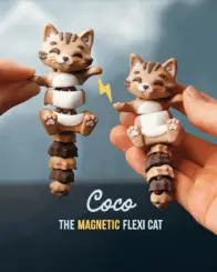 Coco the Flexi Cat