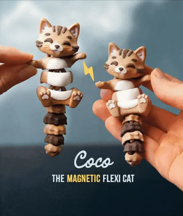 Coco the Flexi Cat
